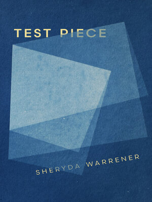cover image of Test Piece